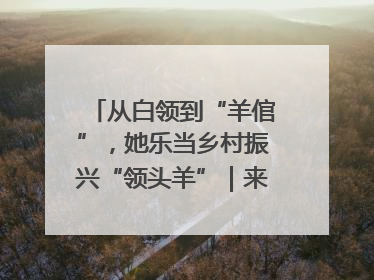 从白领到“羊倌”，她乐当乡村振兴“领头羊”｜来长沙 创未来